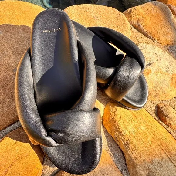 Anine bing sandals