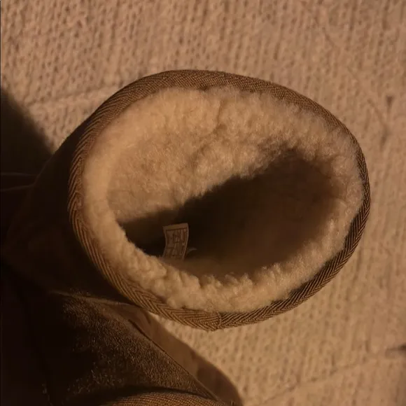Brown Suede Boots UGG boots