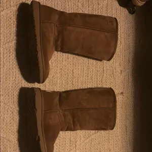 Brown Suede Boots UGG boots