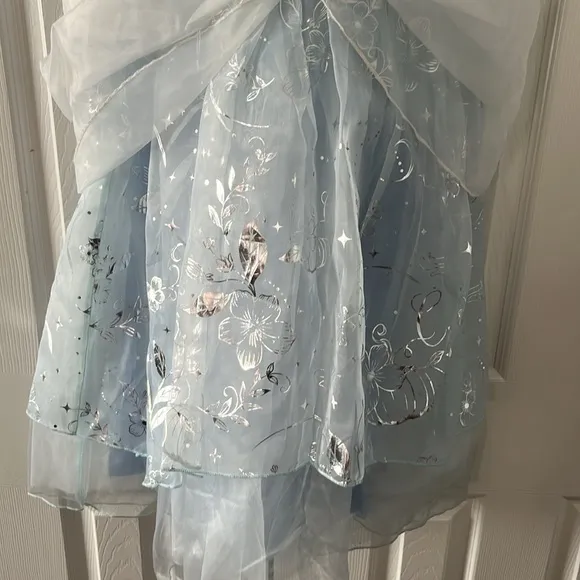 Cinderella Costume with Light Up Shoes