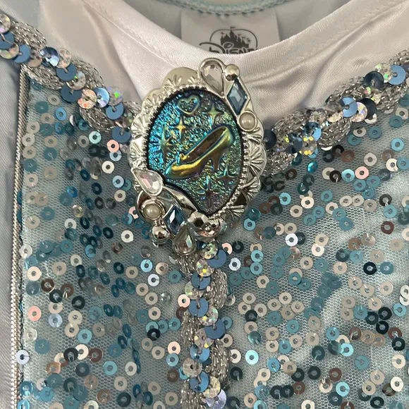 Cinderella Costume with Light Up Shoes