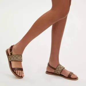 COACH Harley One-Strap Sandals Women's Brown