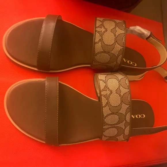 COACH Harley One-Strap Sandals Women's Brown