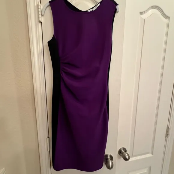 Diane Von Furstenberg Laura Ruched Sheath Dress DVF Size 6