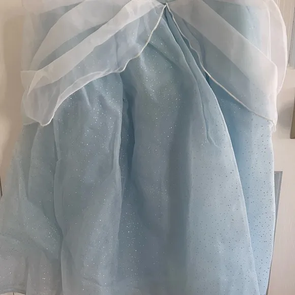 Disney Cinderella Costume with Shoes and Accessories