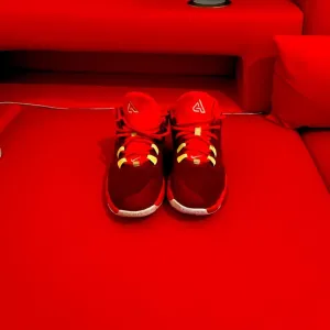 Giannis  Antetokounmpo Sneakers