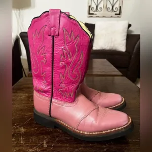 Loop‎ Acme Cowgirl Two Toned Pink Boots Size 6