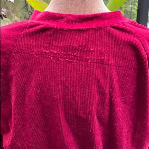 Lucy Fellini velour magenta‎ vintage dress V neck