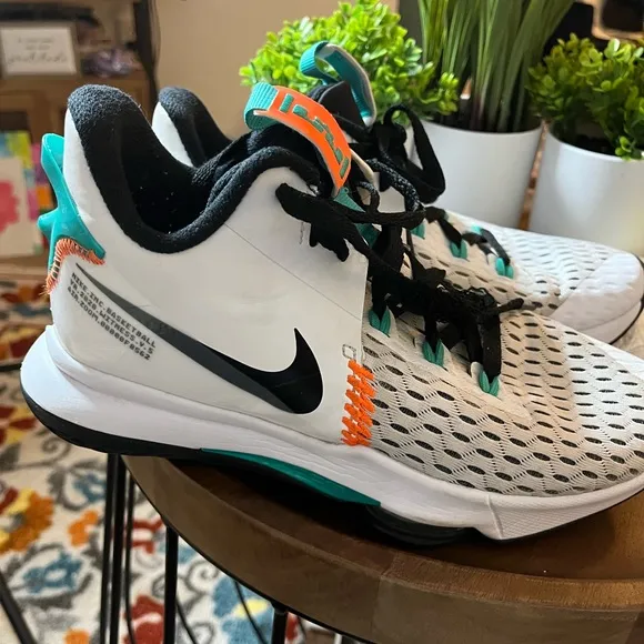 Nike Men Lebron Witness 5