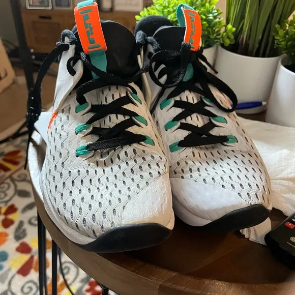 Nike Men Lebron Witness 5