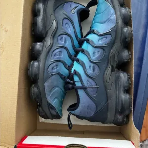 Nike vapormax plus