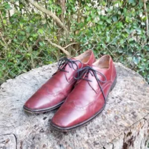 Sz 11 Johnston And Murphy Wingtip Dress Shoes