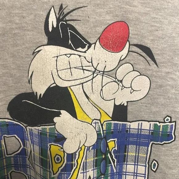 Vintage 96 Warner Bros Don’t ask me Sylvester and Tweety double sided Sweatshirt